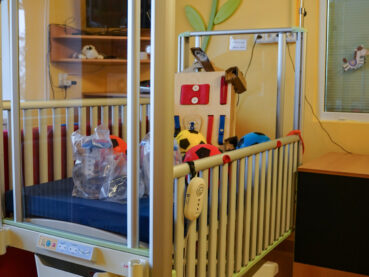 Galerii Šantovku zdobí strom splněných přání. Přáníčka si namalovaly děti z dětského domova.