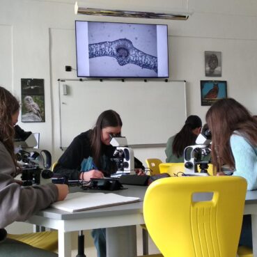 Podpora Gymnázia J. Opletala v Litovli