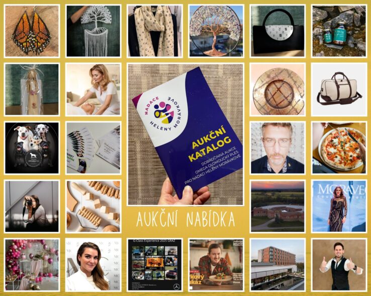 Dobročinná aukce pomůže potřebným v roce 2025