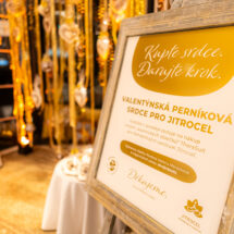 Omega Olomoucký ples pro&nbsp;Jitrocel