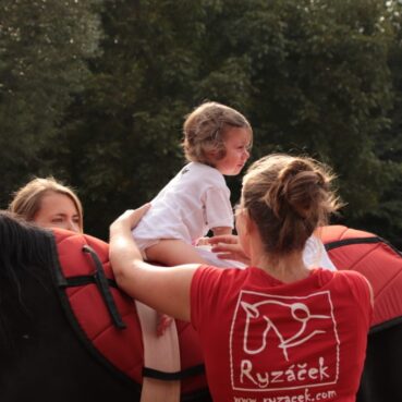 Nový hiporehabilitační kůň